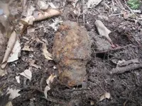 DSCF0965.webp
