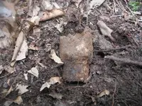 DSCF0967.webp
