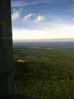 image-209082710.webp