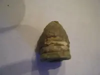 DSCF2901.webp