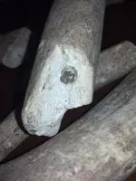 IMG_20130903_181006_197.webp