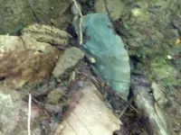 IMG_20130804_131222_602.webp