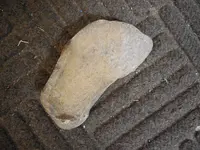 DSCN3479.webp