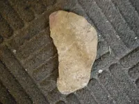 DSCN3480.webp