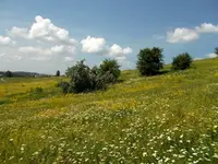 DSCN0468.webp