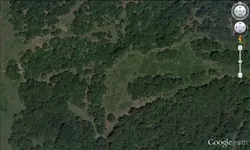 the spot.webp