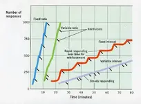 reinforcement_schedules.webp