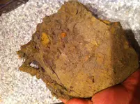 pot 001.webp