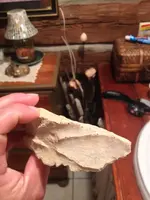 image-3807493611.webp