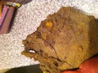 pot 002.webp