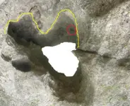 bird--billythekidder.webp
