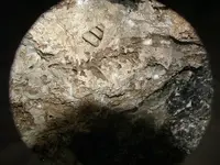 DSCF0036.webp