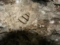 DSCF0038.webp