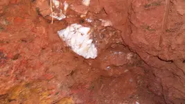 Digging hole Sept 2014 012.webp