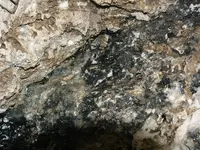 DSCF0039.webp