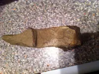 pot 005.webp