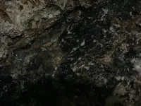 DSCF0024.webp
