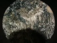 DSCF0028.webp