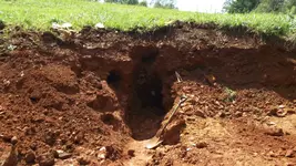 Digging hole Sept 2014 013.webp