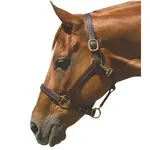 halter.webp