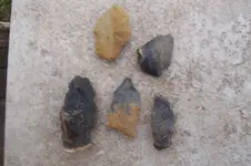 100_4242.webp