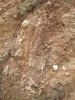 20130826_153001.webp