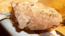 Digging hole Sept 2014 053.webp
