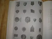 shield.webp