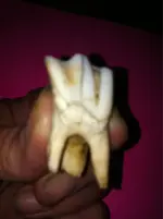 ImageUploadedByTapatalk1380205559.182235.webp