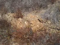 20130819_151234.webp
