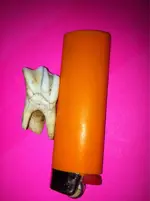 ImageUploadedByTapatalk1380205635.873327.webp