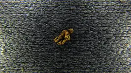 IMGP0179.webp