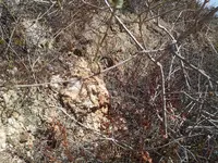 20130819_151311.webp