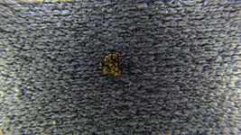IMGP0175.webp