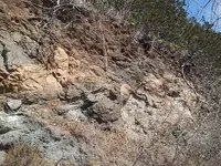 20130819_152001.webp