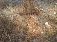 20130826_150035.webp