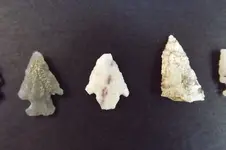 DSCF5833.webp