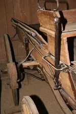 wag08_4878.webp wag08_4878.webp