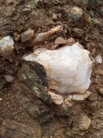 20130826_153029.webp