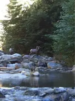 image-3415873755.webp