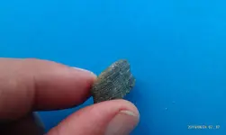 Tooth 2.webp