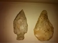 image-1040413090.webp