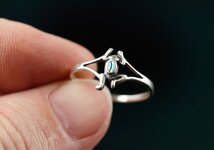Silver Frog Ring.jpg