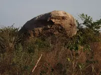 cobrarock.webp