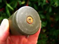 green shell case 2.webp
