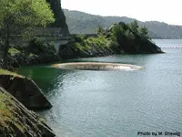ATT00002.webp ATT00002.webp