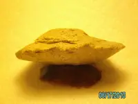 chamberpot 017.webp