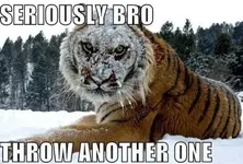 I-dare-you.webp I-dare-you.webp