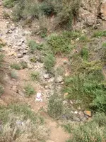 image-692509114.webp