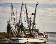 Shem Creek Shrimp Boats.webp